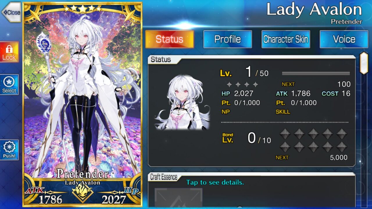 FATE/GRAND ORDER -  Lady Avalon